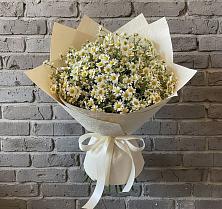 Букет цветов из:  Ромашки #REPLACE_PRED# Каргаполье